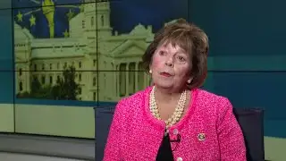 State Sen. Linda Rogers explains decision to withdraw South Bend school board bill, talks plan ahead