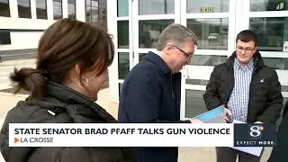 State Senator Pfaff talks gun violence prevention