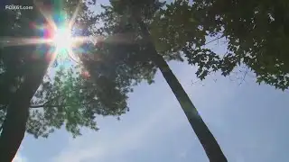 Staying cool and safe in the heat