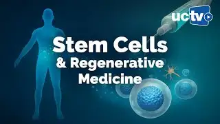Stem Cells and Next Generation Regenerative Medicine Therapies