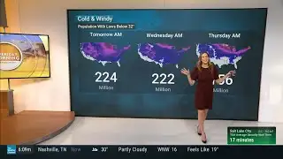 Steph Abrams 12 29 25