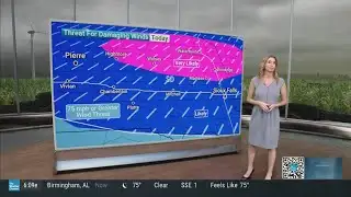 Steph Abrams 7 28 25