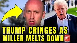 🚨Stephen Miller CRIES As He Just Got THE WORST NEWS EVER!