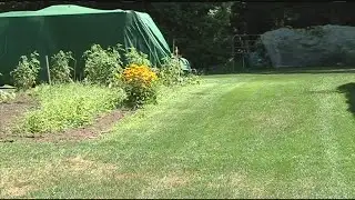 Steps you should be taking now to get your lawn ready for fall