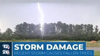 Storm causes fallen trees, power outages across CSRA