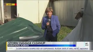 Storm damage cleanup