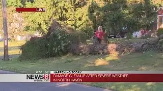 Storm damage cleanup continues