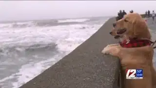 StormBeat: 12 News Team Coverage