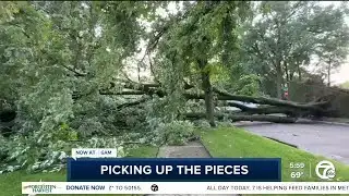 Storms cause massive tree to uproot in Madison Heights, land on home