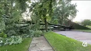 Storms cause massive tree to uproot in Madison Heights, land on home