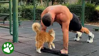 Stray Kitten Interrupts Workout and Finds a New Home