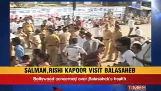 Stream of visitors at 