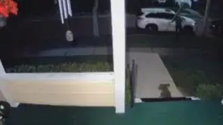 String Of Jamestown Break Ins