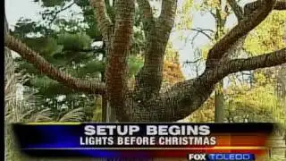 Stringing up zoo lights