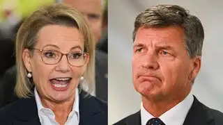 ‘Strong chance’ Angus Taylor may challenge Sussan Ley’s Liberal leadership