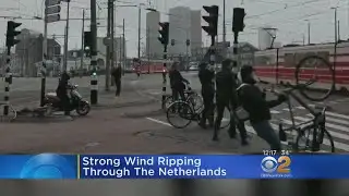 Strong Wind Ripping Through The Netherlands