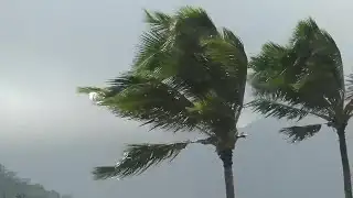 Strong winds leave trail of damage in Windward Oahu