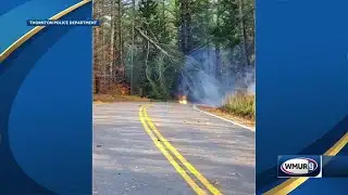 Strong winds topple tree limbs, knock out power for thousands