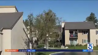 Strong winds topple trees across SoCal, another storm on the way