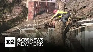 Strong winds topple trees across Tri-State Area