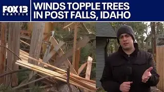 Strong winds topple trees in eastern WA and Post Falls, ID