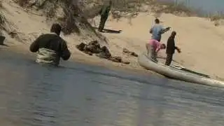 Students build barrier to protect endangered Piping Plover