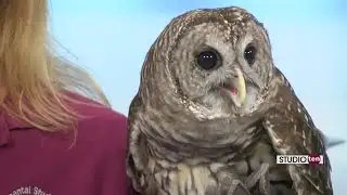 Studio 10: Kids Gulf Discovery Day