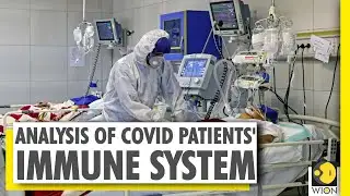 Study: Bone Marrow may not be exempt from scars of COVID-19 | Coronavirus Study | WION