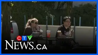 Study examines how Canadians are connecting with friends