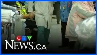 Study looks at family doctors