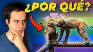 Study reveals NEW data on HOMOSEXUALITY