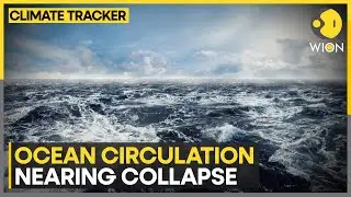 Study warns about ocean circulation collapse | WION Climate Tracker