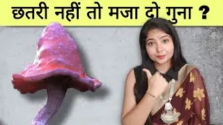 छतरी नहीं तो मजा दो गुना ? @studywithmeekta