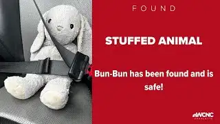Stuffed bunny lost in Boone has been found