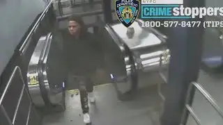 Subway push suspect video
