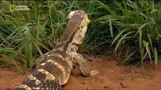 Sud Africa: La Terra dei giganti