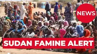 SUDAN: 13.6 Million Displaced as Hunger Spreads - Latest Update