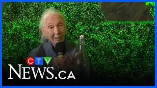 Sudbury looks to honour Jane Goodall