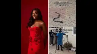 SUDDEN DEATH OF A RISING SINGER #music