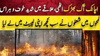 Sudden fire breaks out, flames engulf the area 