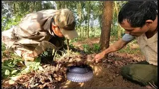 Suddenly discovered snake lying in the sun at noon, horrifying arrest