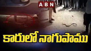 కారులో నాగుపాము  | Suddenly Snake Found In Running Car | ABN Telugu