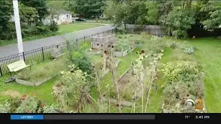 Suffolk County Lawmakers Approve Plan To Map Potential Community Gardens
