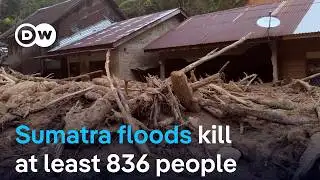 Sumatra floods: How decades of excessive deforestation have exacerbated the devastation | DW News