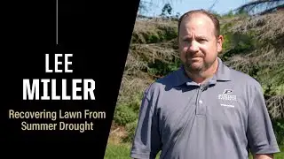 Summer drought: How to help your lawn recover | Purdue Expert
