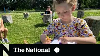 Summer schools aim to entertain and educate