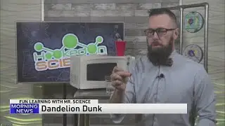 Summer Science Experiments