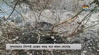 বাগেরহাটের পূর্ব সুন্দরবনে আ