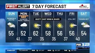 Sunday morning weather forecast (2/1)