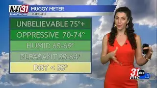 Sunny, mild, low humidity week
